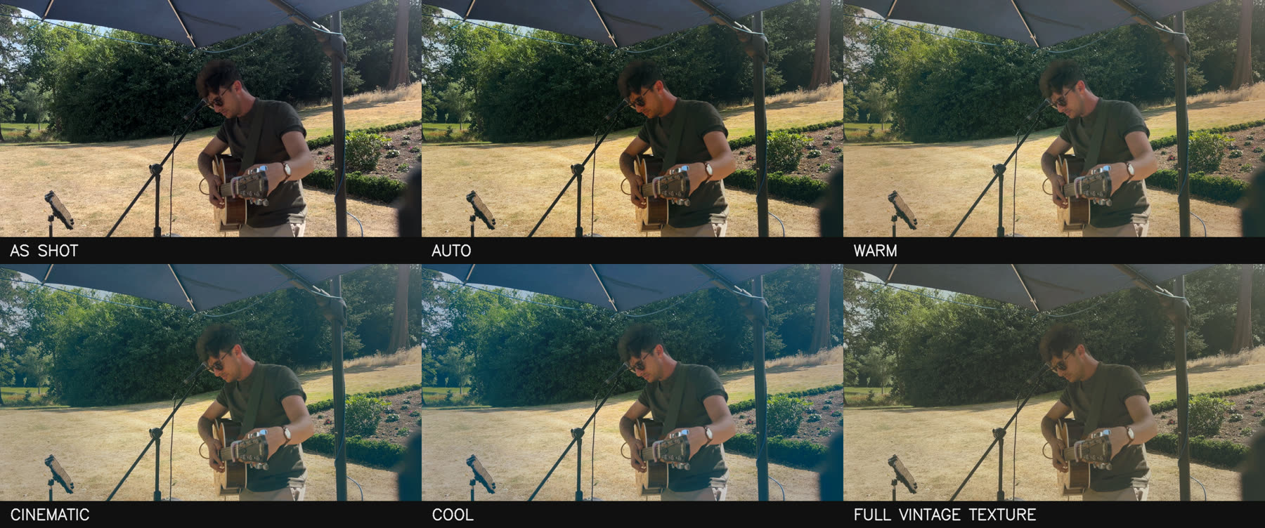 Six grades of the same frame at a midday garden gig — bright contrasty sun, where every grade eases off and the differences are subtle